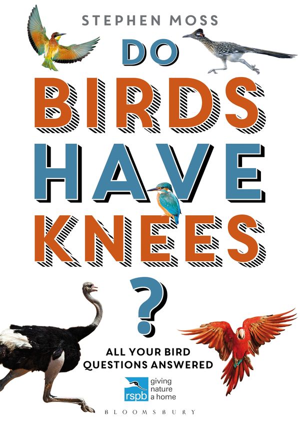 Cover Art for 9781472932358, Do Birds Have Knees?All Your Bird Questions Answered by Stephen Moss