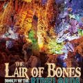 Cover Art for 9781441753144, The Lair of Bones by David Farland