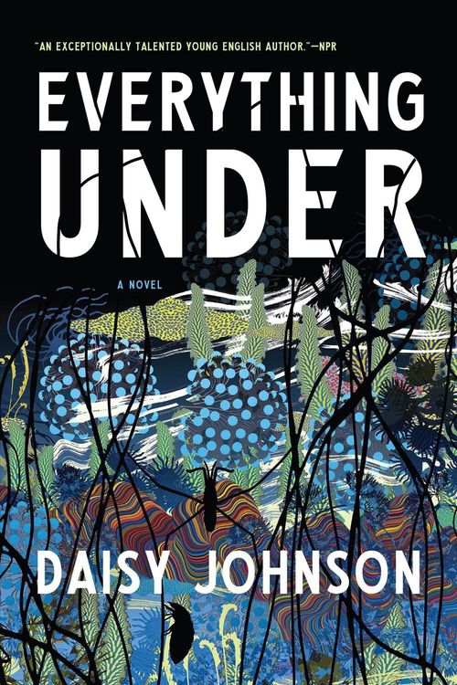 Cover Art for 9781555978266, Everything Under by Daisy Johnson