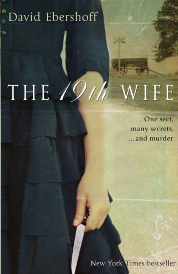 Cover Art for 9780385614757, 19th Wife by David Ebershoff