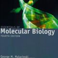 Cover Art for 9780763740115, Essentials of Molecular Biology by Detmer