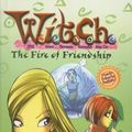 Cover Art for 9780756946227, The Fire of Friendship by Elizabeth Lenhard