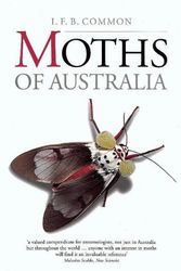 Cover Art for 9780522843262, Moths of Australia by I. F. B. Common