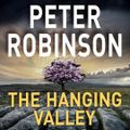 Cover Art for 9781509883981, The Hanging Valley by Peter Robinson