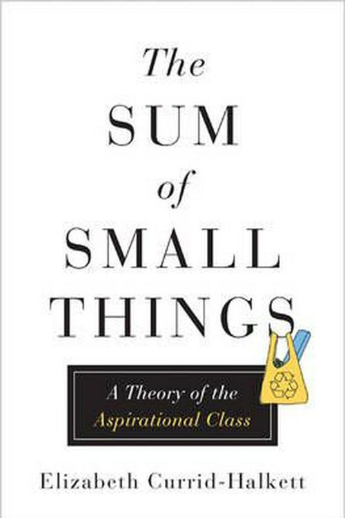 Cover Art for 9780691162737, The Sum of Small ThingsA Theory of the Aspirational Class by Elizabeth Currid-Halkett