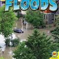 Cover Art for 9781489612069, Floods (Natural Disasters) by Jennifer Howse