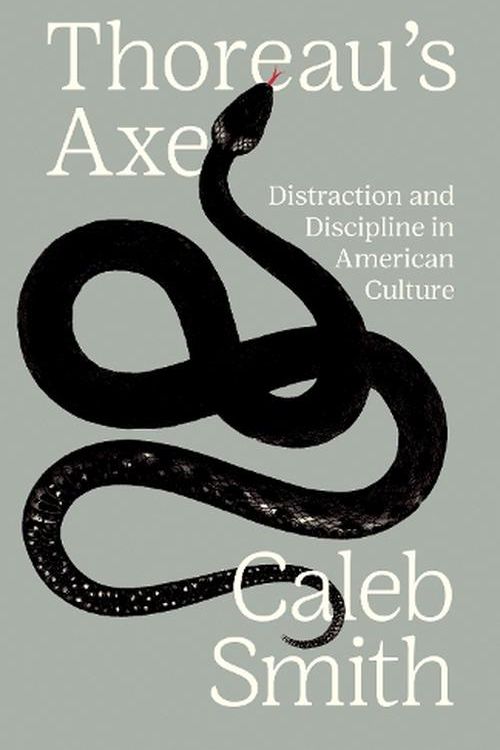 Cover Art for 9780691214771, Thoreau's Axe: Distraction and Discipline in American Culture by Caleb Smith