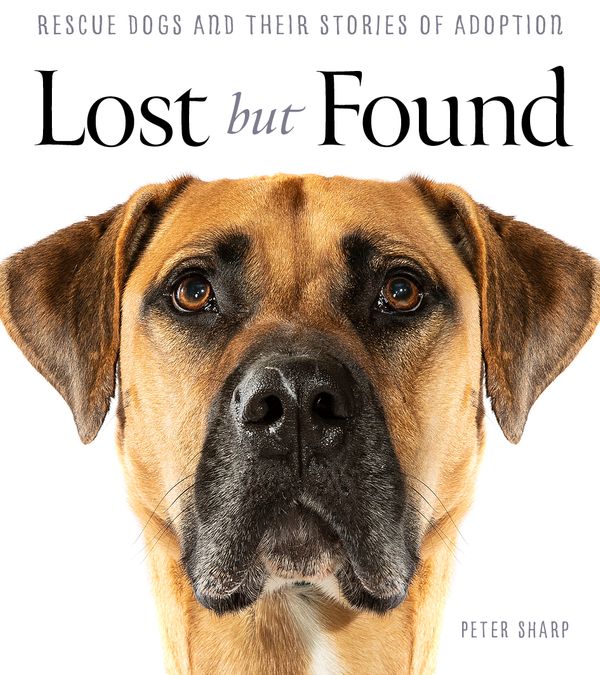 Cover Art for 9781760786090, Lost But Found by Peter Sharp