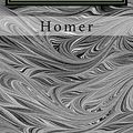 Cover Art for 9781985063280, The Iliad by Homer