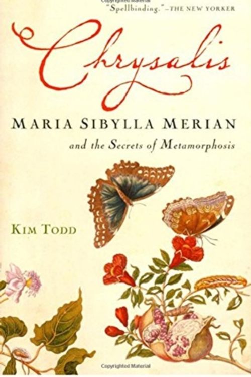 Cover Art for 9780156032995, Chrysalis by Kim Todd