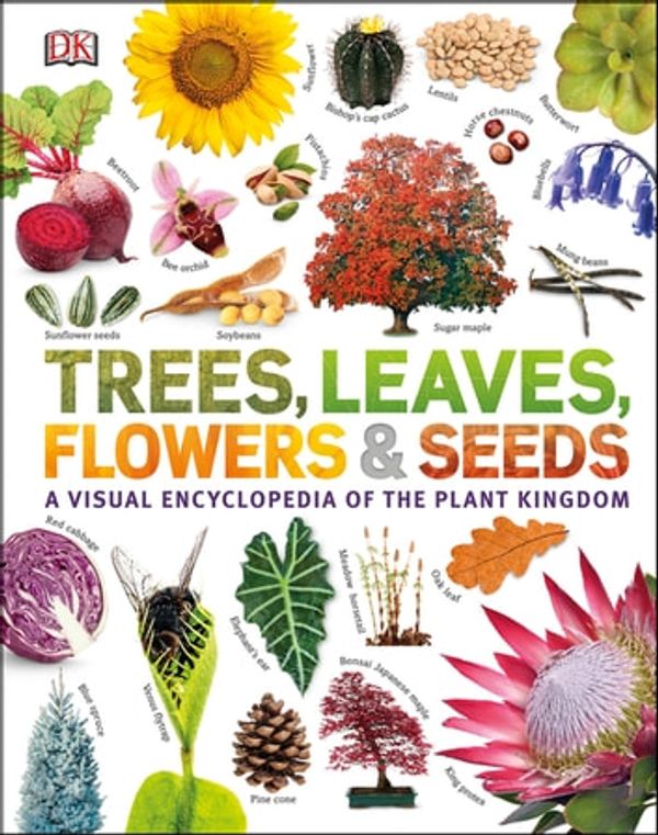 Cover Art for 9780241445877, Trees, Leaves, Flowers & Seeds: A visual encyclopedia of the plant kingdom by DK