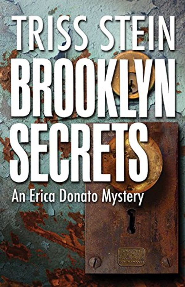 Cover Art for 9781464204104, Brooklyn SecretsAn Erica Donato Mystery by Triss Stein