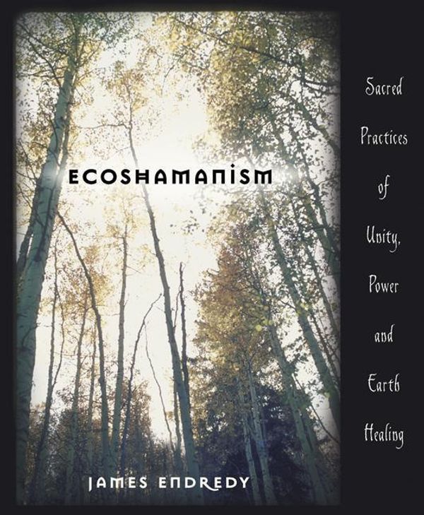Cover Art for 9780738707426, Ecoshamanism by James Endredy