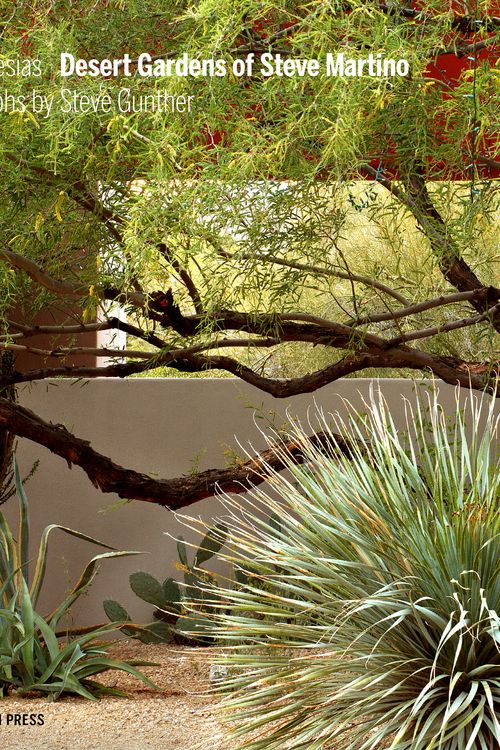 Cover Art for 9781580934916, Desert Gardens of Steve Martino by Caren Yglesias