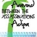 Cover Art for 9780330450546, Between the Assassinations by Aravind Adiga