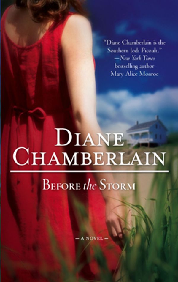 Cover Art for 9781426817656, Before the Storm by Diane Chamberlain