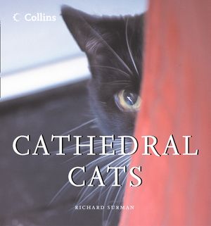 Cover Art for 9780008140656, Cathedral Cats by Richard Surman