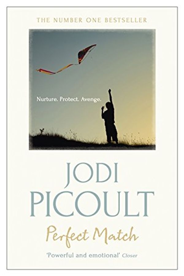 Cover Art for 9781444779035, Perfect Match by Jodi Picoult