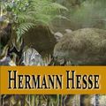 Cover Art for 9781438279336, Siddhartha by Hermann Hesse