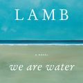 Cover Art for 9780062199027, We Are Water by Wally Lamb