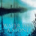 Cover Art for 9780330529471, Water Like a Stone by Deborah Crombie