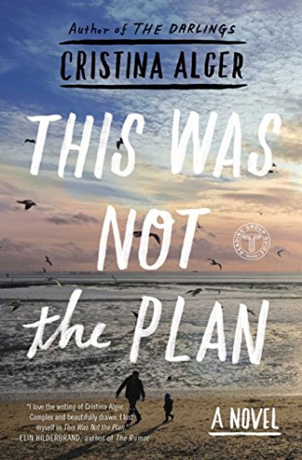 Cover Art for B00UDCI3ZE, This Was Not the Plan: A Novel by Cristina Alger