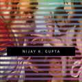 Cover Art for B07VQN3H86, A Beginner's Guide to New Testament Studies: Understanding Key Debates by Nijay K. Gupta