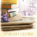 Cover Art for 9781925816839, The Bookshop on Jacaranda Street by Marlish Glorie