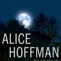 Cover Art for 9781511385664, Turtle Moon by Alice Hoffman