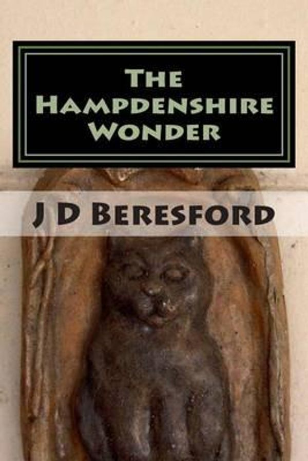 Cover Art for 9781494427658, The Hampdenshire Wonder by J D Beresford