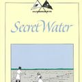 Cover Art for 9781567920642, Secret Water by Arthur Ransome