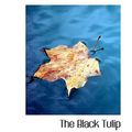 Cover Art for 9780554353845, The Black Tulip by Alexandre Dumas