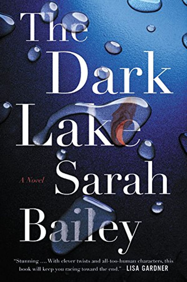 Cover Art for 9781538759905, The Dark Lake by Sarah Bailey
