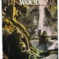 Cover Art for 9780006480013, Merlin's Wood by Robert Holdstock