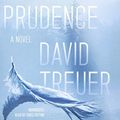 Cover Art for 9781481504171, Prudence by David Treuer