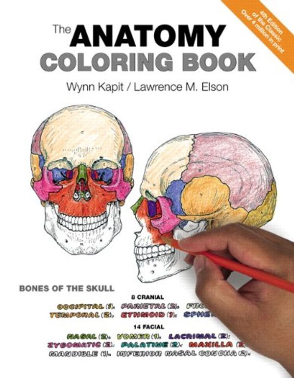 Cover Art for 8601300203560, The Anatomy Coloring Book by Wynn Kapit, Lawrence Elson