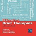Cover Art for 9780123435309, Effective Brief Therapies: A Clinician's Guide (Practical Resources for the Mental Health Professional) by Michel Hersen