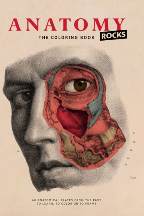 Cover Art for 9782374950082, Anatomy Coloring Book by Rodolphe Lachat