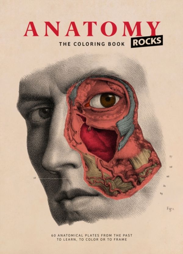 Cover Art for 9782374950082, Anatomy Coloring Book by Rodolphe Lachat