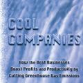 Cover Art for 9781134196371, Cool Companies by Joseph J. Romm