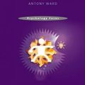 Cover Art for 9781841693286, Attention by Antony Ward