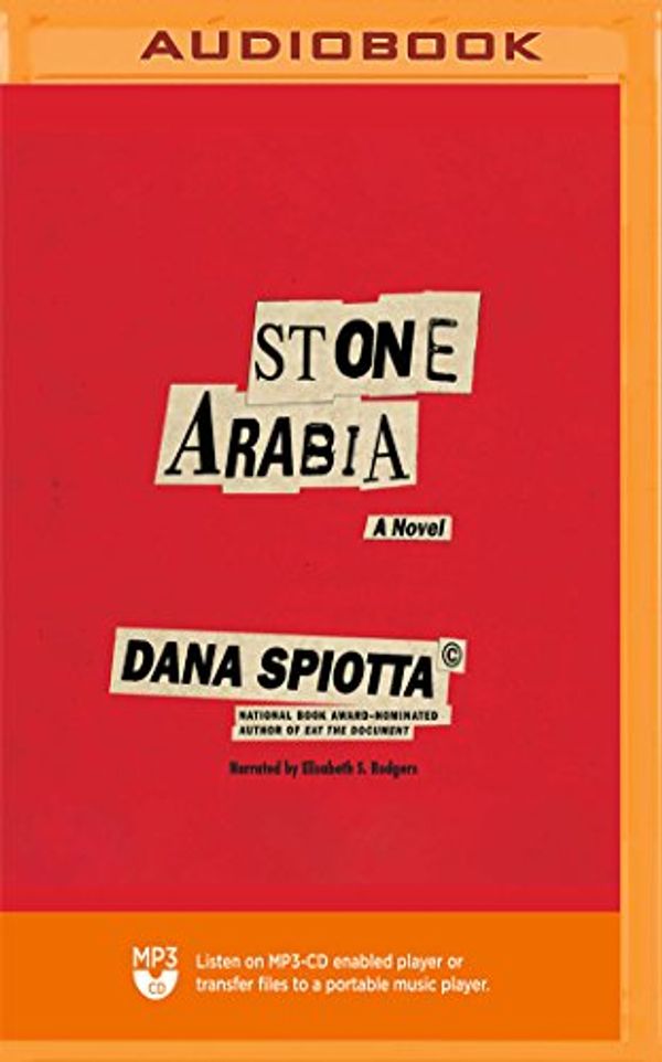 Cover Art for 9781721320035, Stone Arabia by Dana Spiotta