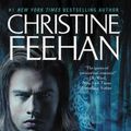 Cover Art for 9780062019400, Dark Challenge by Christine Feehan