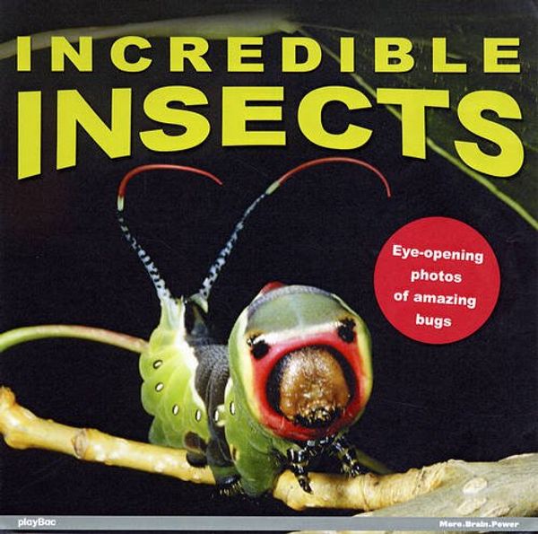 Cover Art for 9781602141049, Incredible Insects! by playBac Edu-Team