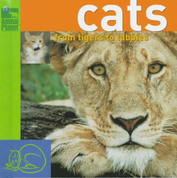 Cover Art for 9780517800034, Cats: From Tigers to Tabbys (Animal Planet) by Maria Mihalik Higgins, Discovery Communications, Kit Carlson