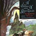 Cover Art for 9780312857837, A Sorcerer and a Gentleman by Elizabeth Willey