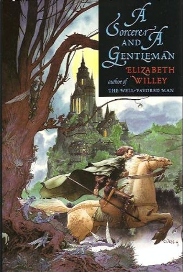 Cover Art for 9780312857837, A Sorcerer and a Gentleman by Elizabeth Willey