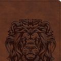 Cover Art for 9781433554667, ESV Compact Bible (TruTone, Royal Lion) by Crossway
