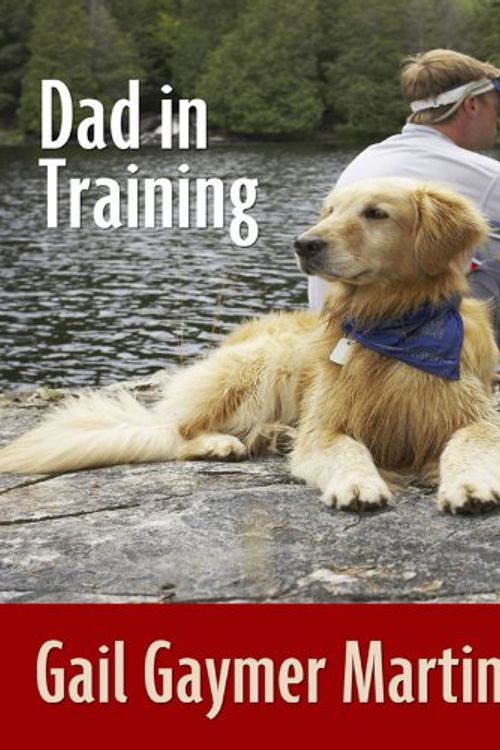 Cover Art for 9781410422736, Dad in Training by Gail Gaymer Martin