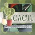 Cover Art for 9781845103361, Cacti by Susan Stephenson